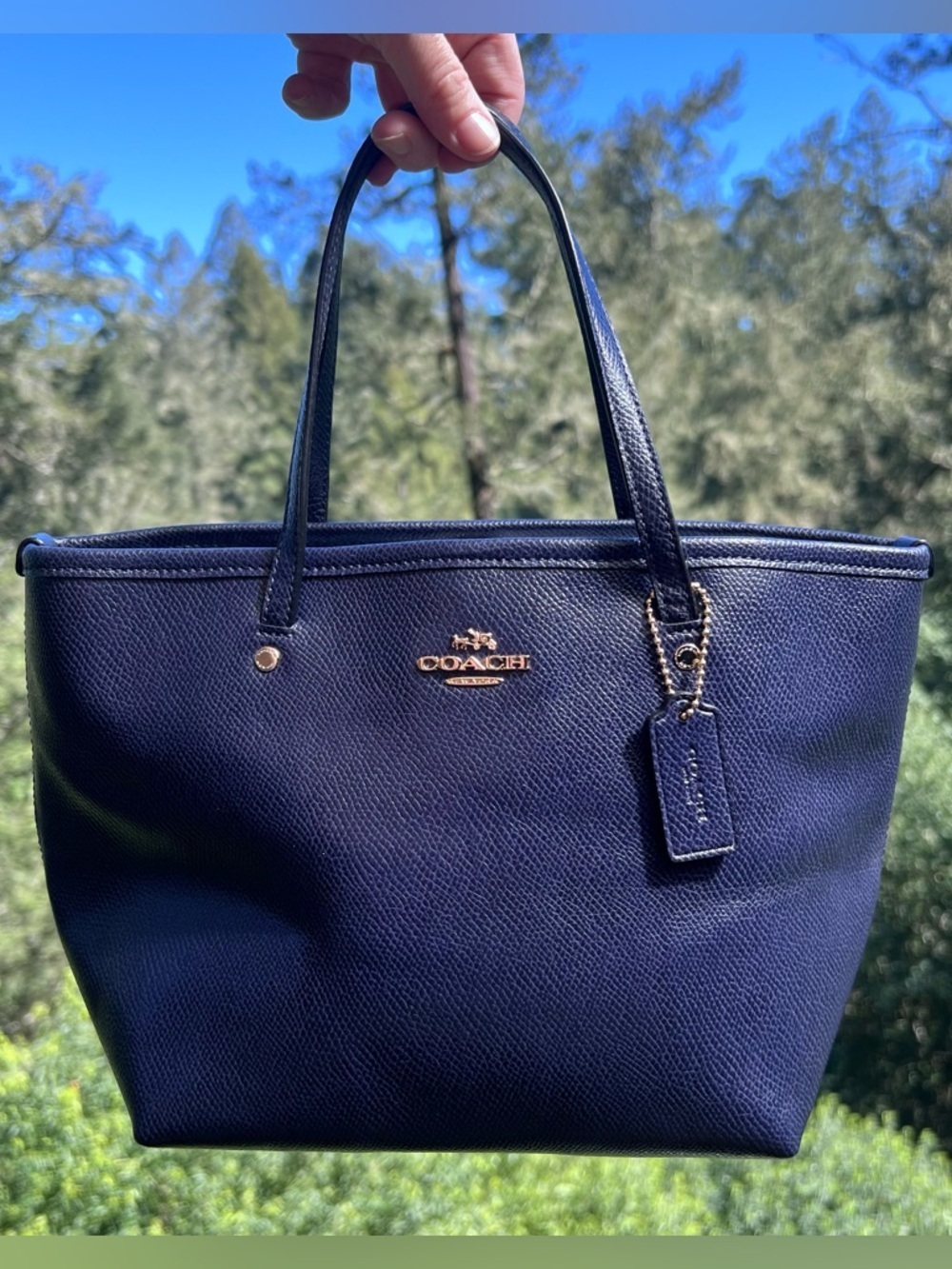 COACH Shoulder Bag Leather Mini City Tote Blue w Gold Hardware F34871 AUTHENTIC